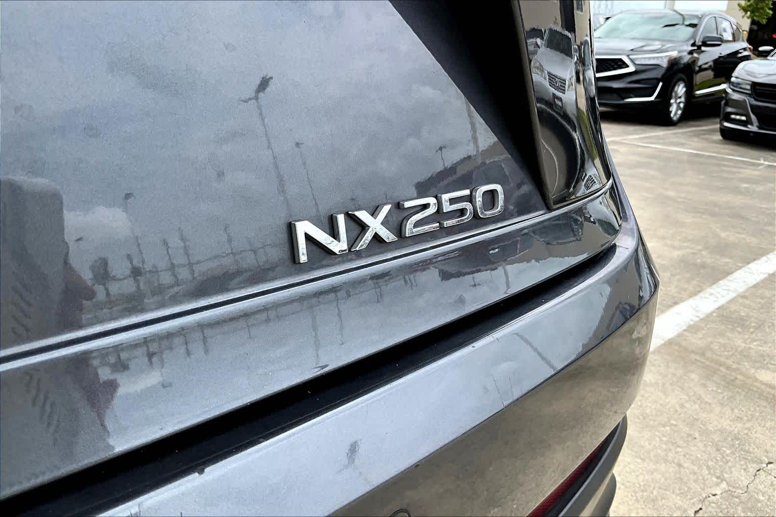 2025 Lexus NX 250  Cloudburst Gray at Lexus of Clear Lake