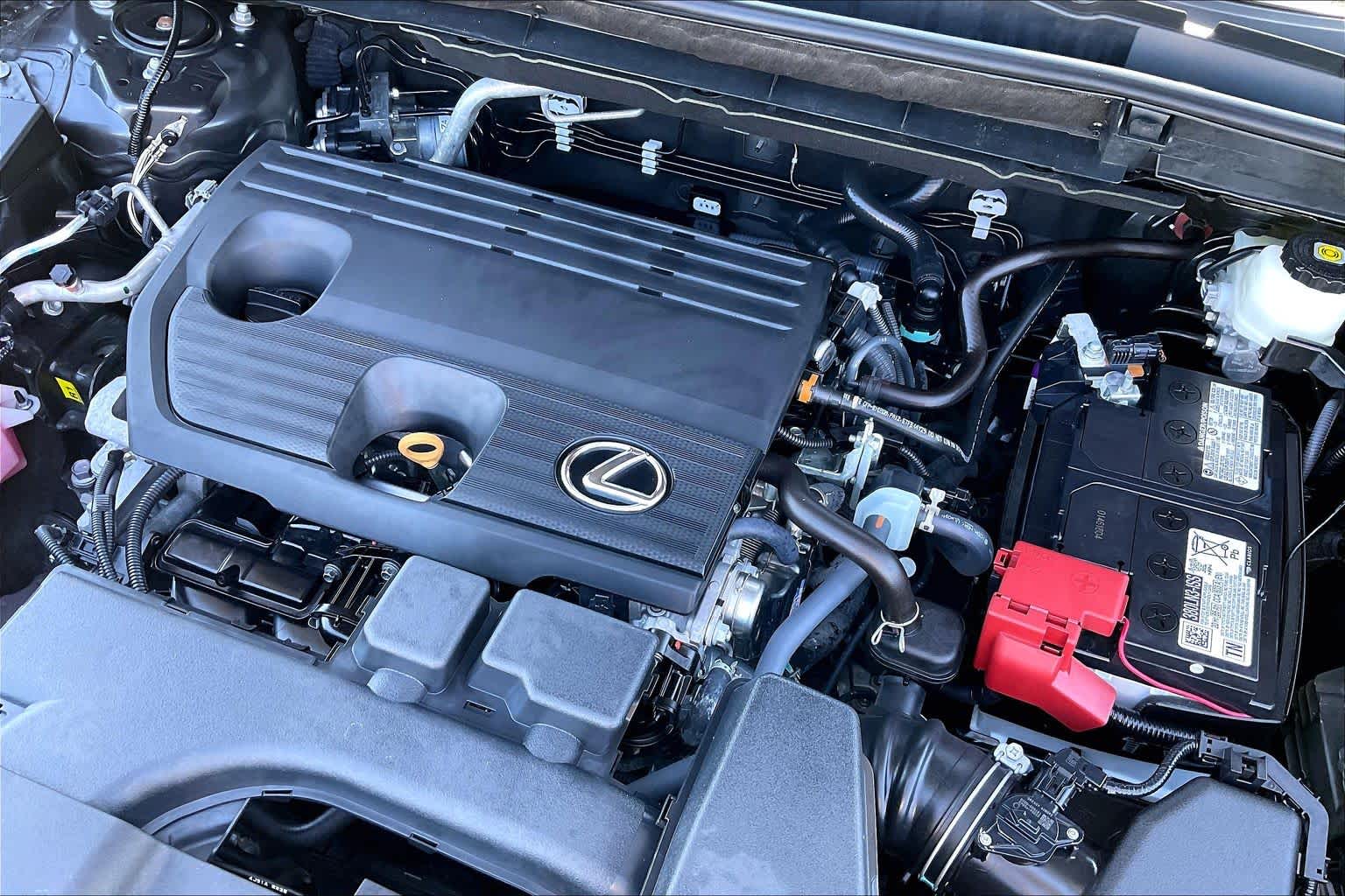 2025 Lexus NX 250  Cloudburst Gray at Lexus of Clear Lake