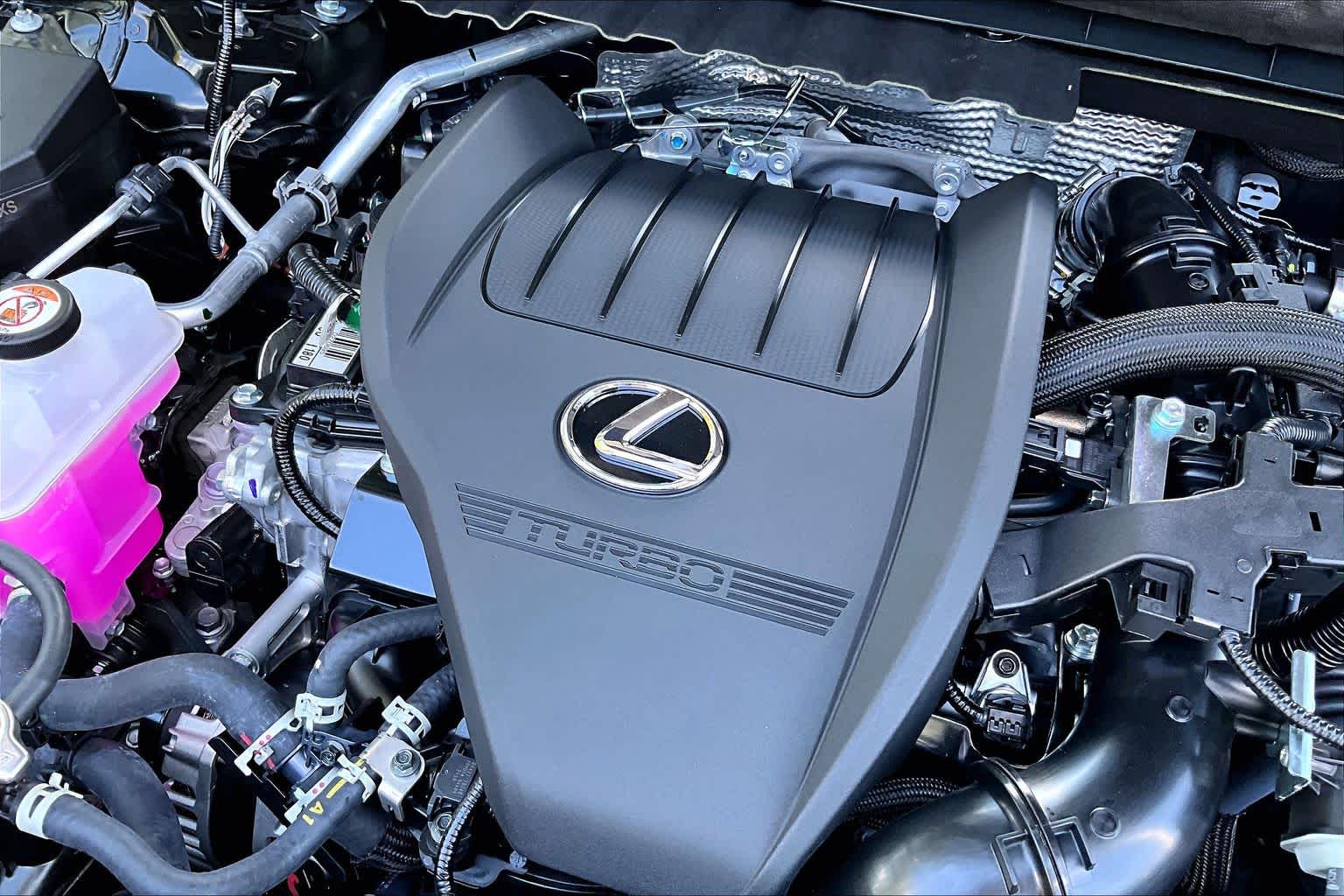 2026 Lexus NX 350 photo 19 of 21