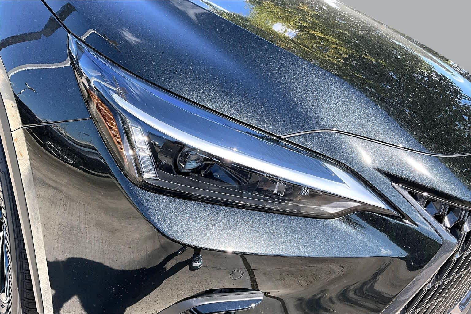 2026 Lexus NX 350 photo 20 of 21