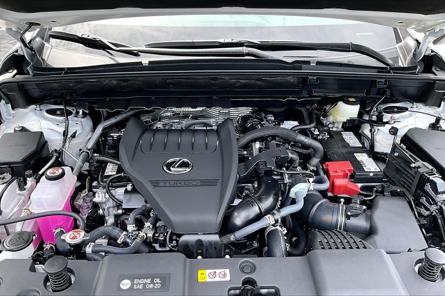 2026 Lexus NX 350  Ultra White at Lexus Southwest Houston