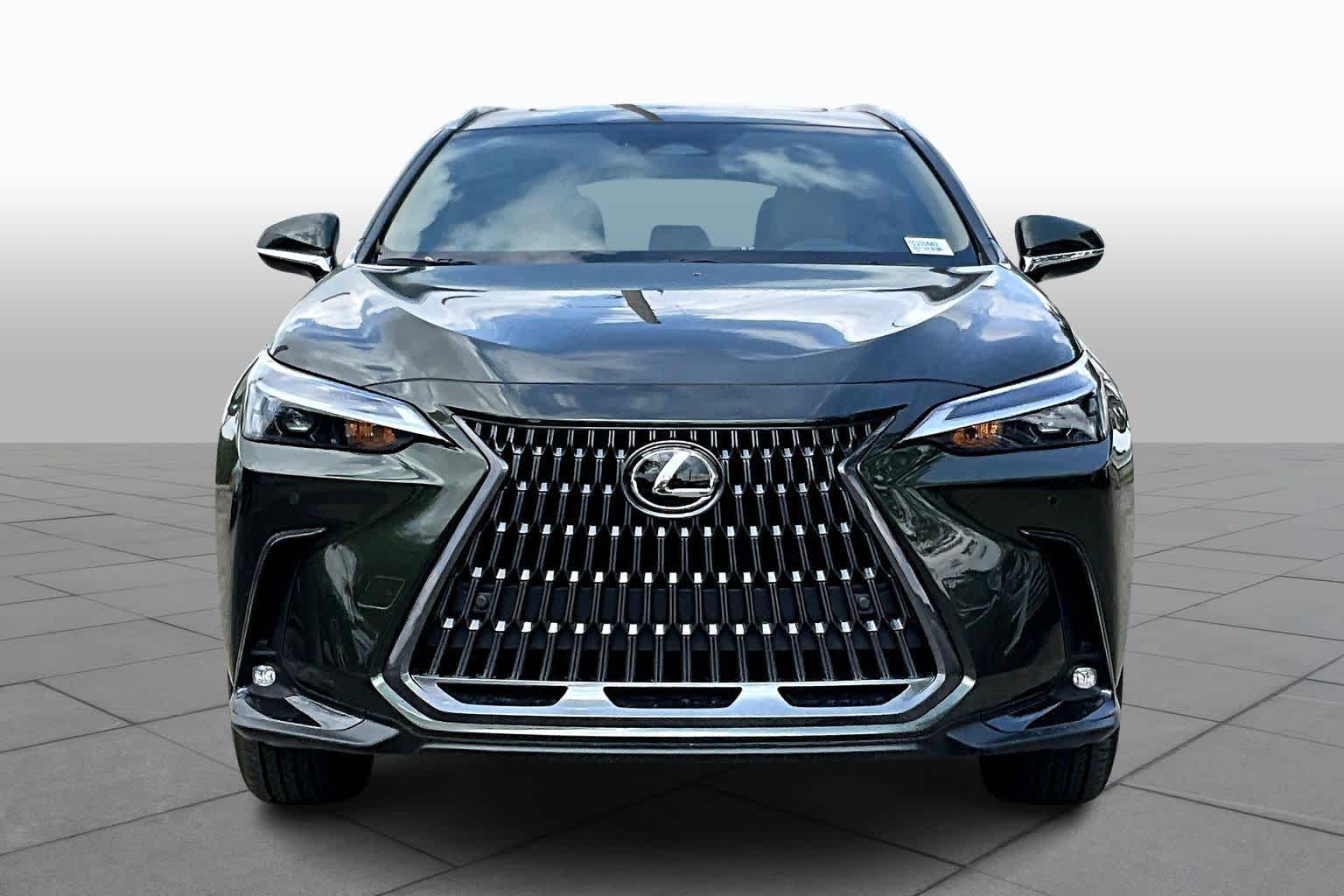 2026 Lexus NX  - 1