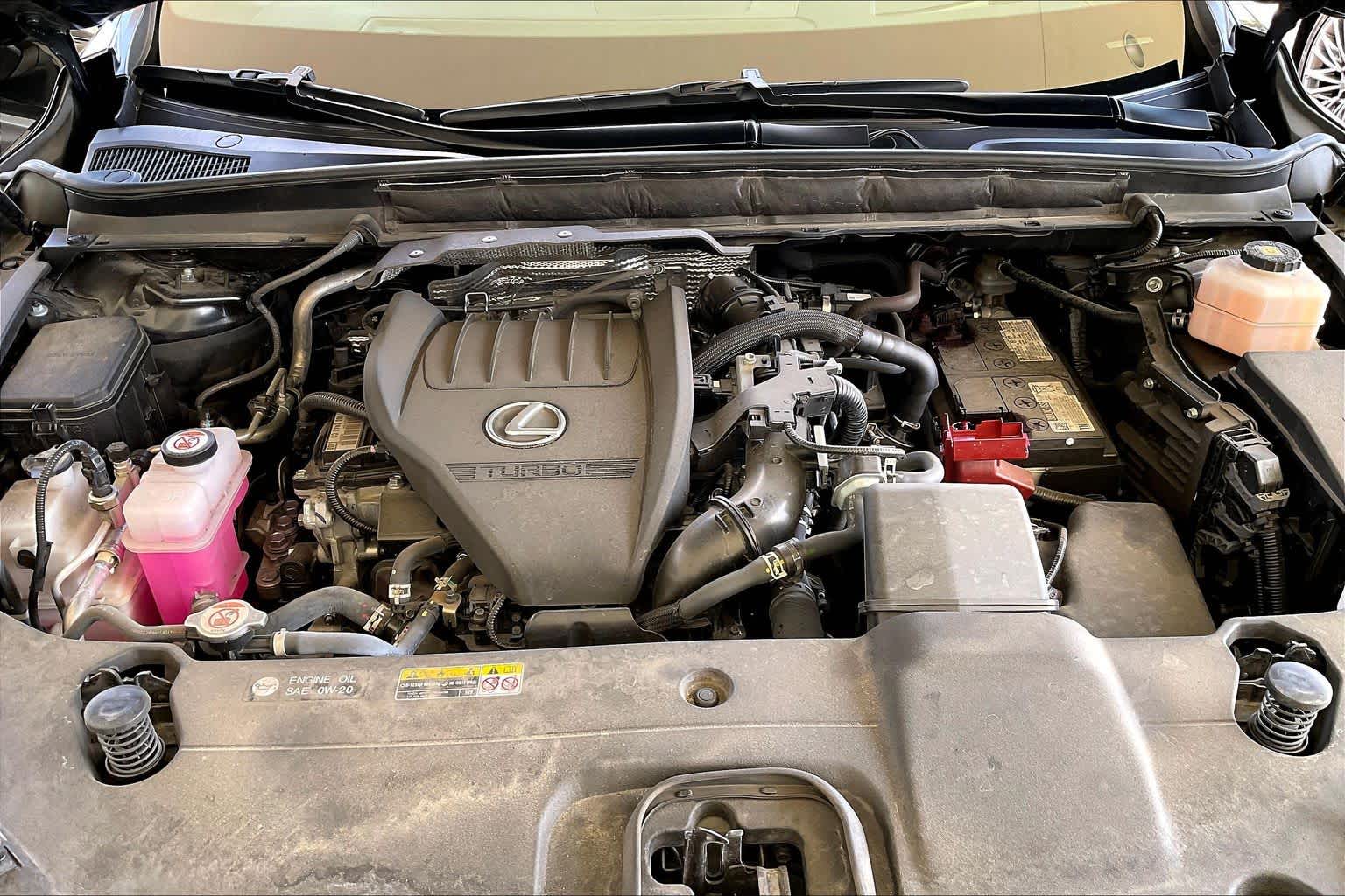 2023 Lexus RX 350 F SPORT Handling  Caviar at Beck & Masten Kia