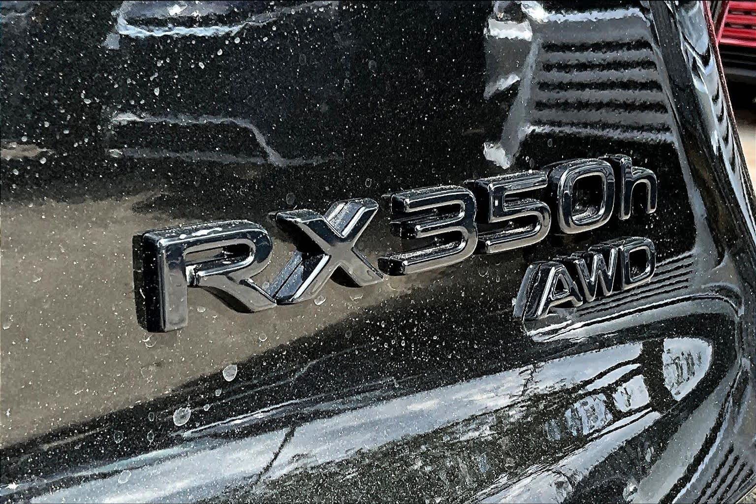 2025 Lexus RX Luxury  - 6