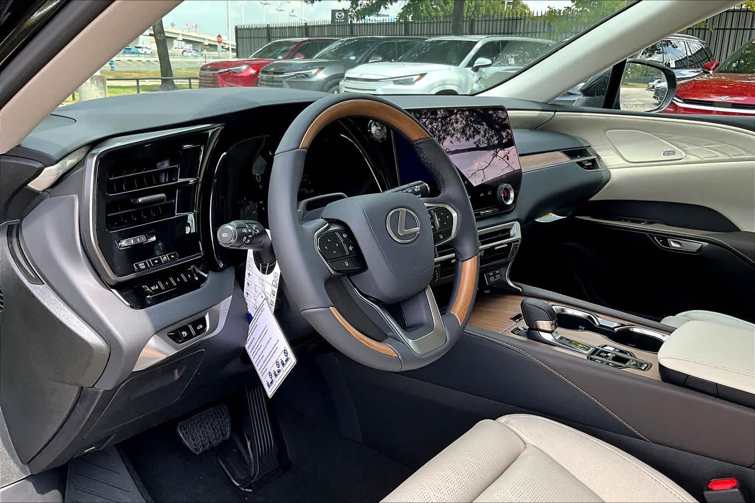 2025 Lexus RX Luxury  - 9