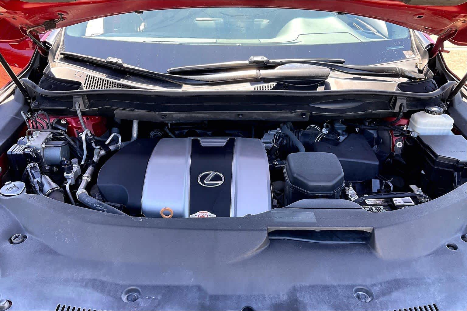 2019 Lexus RX 350 photo 30 of 35