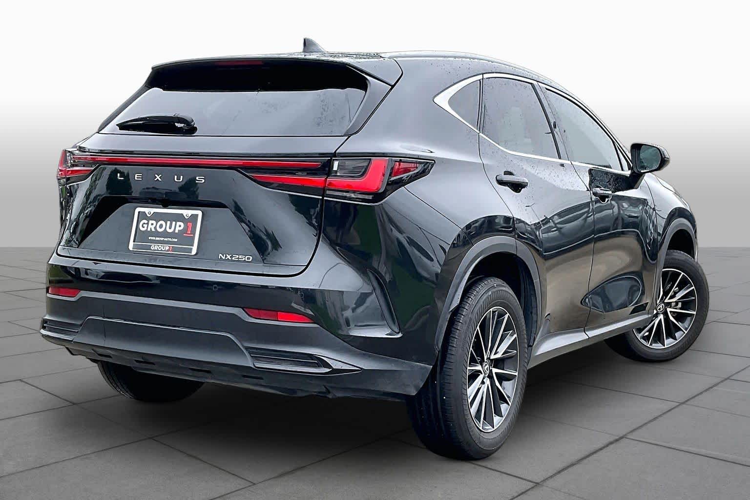 2024 Lexus NX 250 Premium - 10