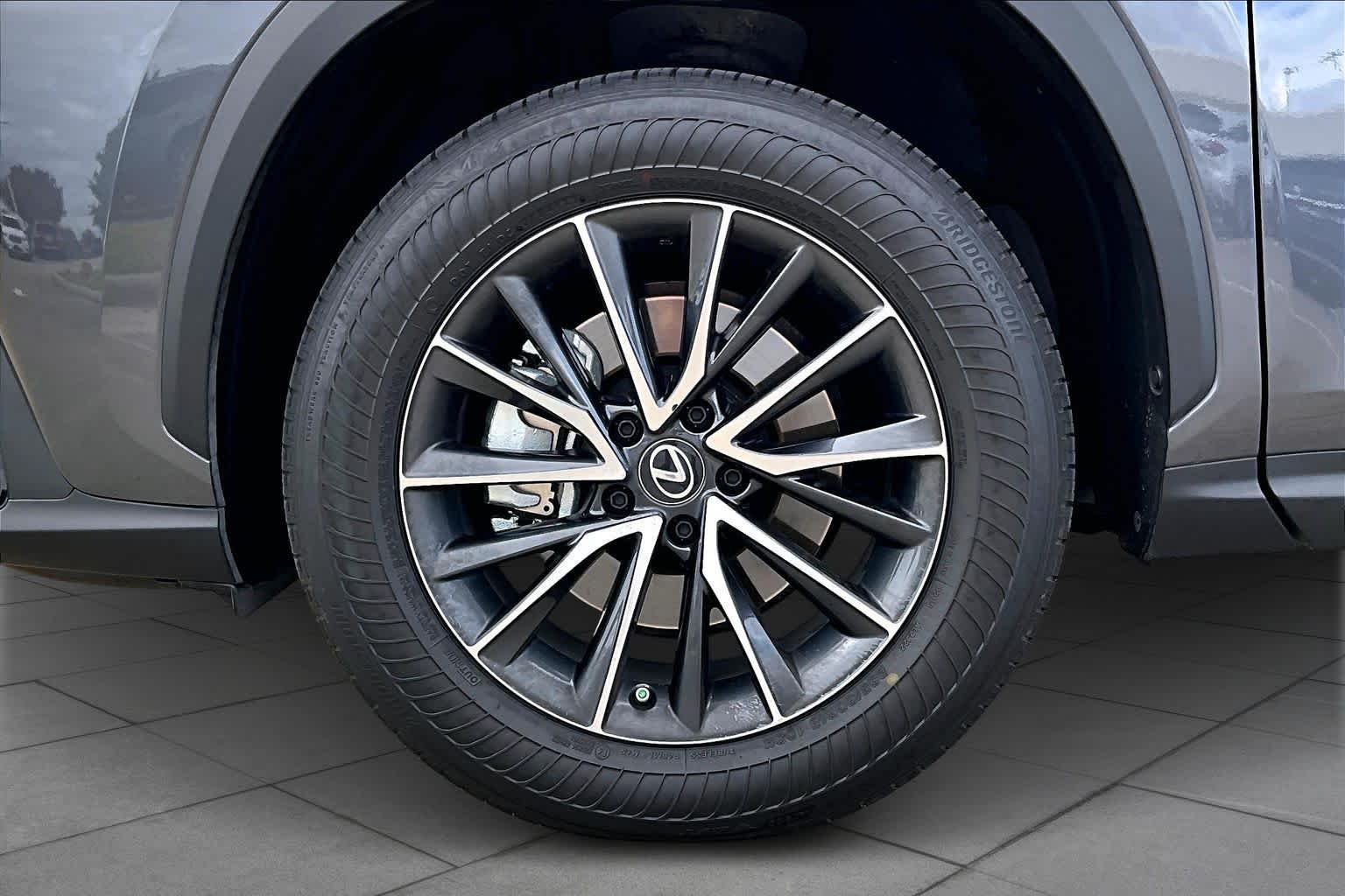 2024 Lexus NX Premium  Cloudburst Gray at AutoNation USA Katy