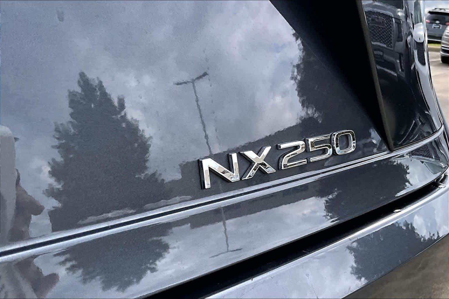 2024 Lexus NX Premium  Cloudburst Gray at AutoNation USA Katy