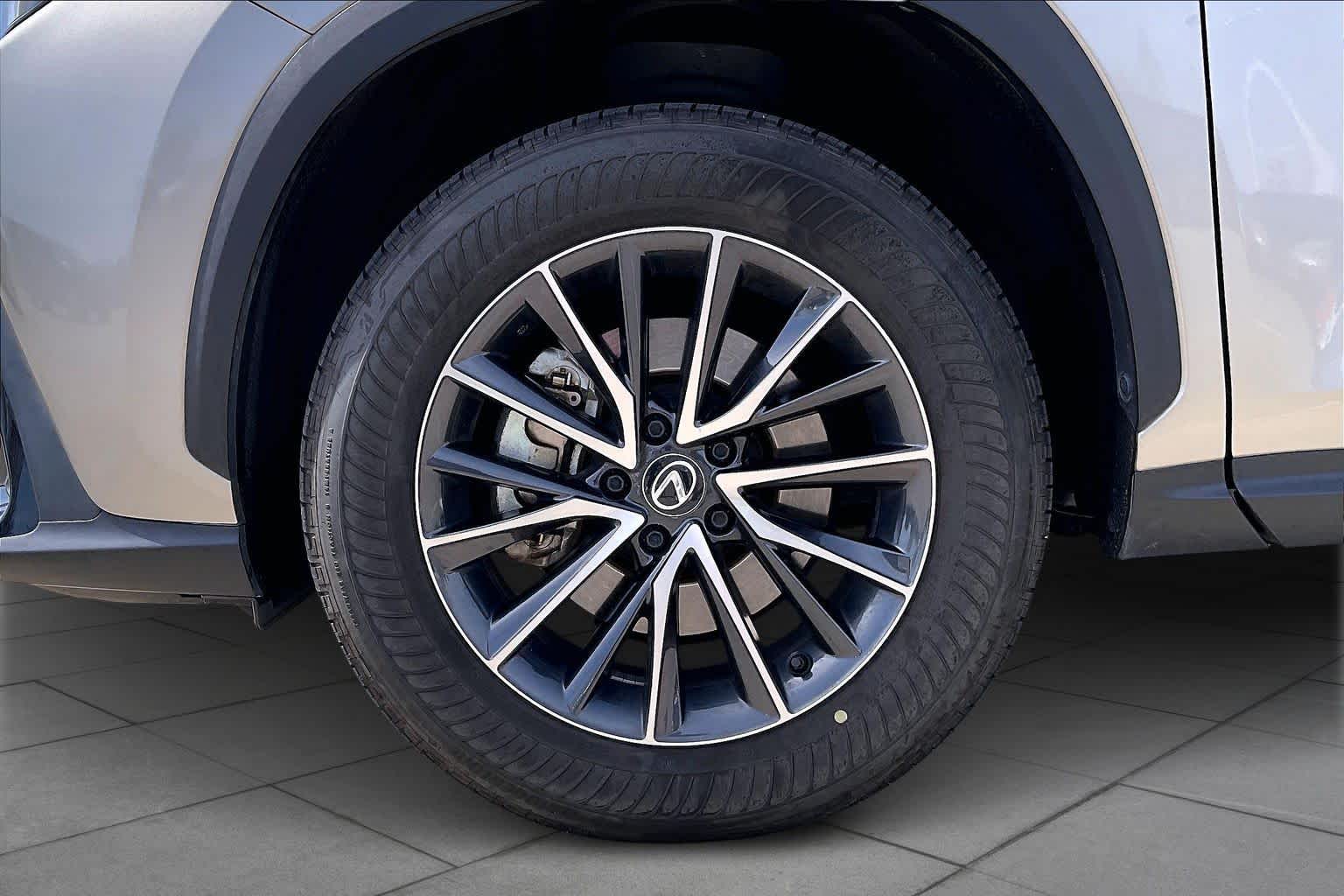 2024 Lexus NX 250 Premium - 8