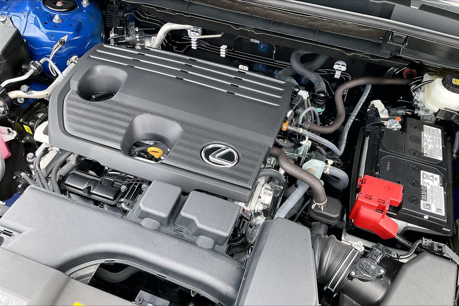2025 Lexus NX 250 Premium  Grecian Water at Lexus of Clear Lake
