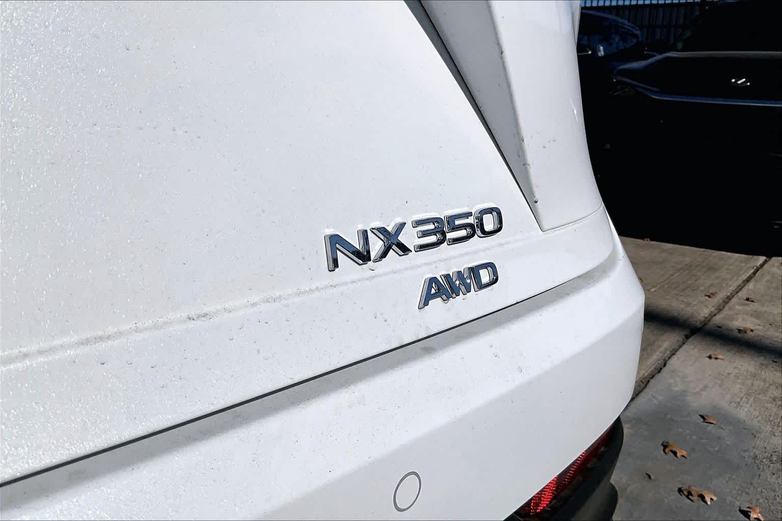 2026 Lexus NX Premium  - 6