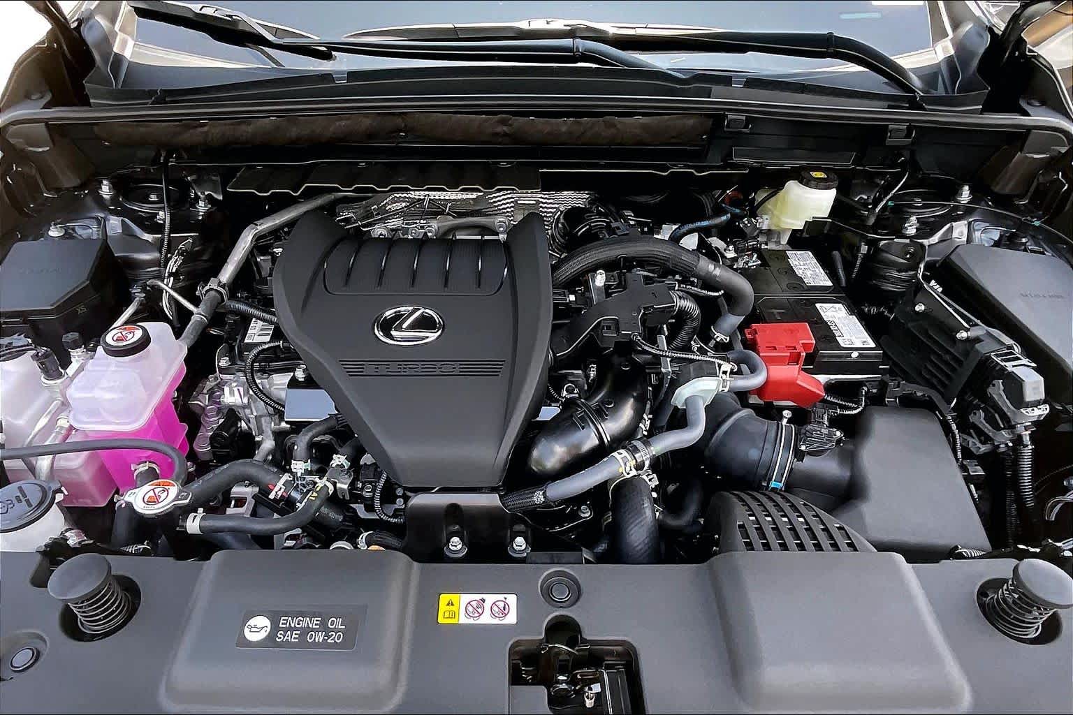 2026 Lexus NX 350 photo 17 of 21