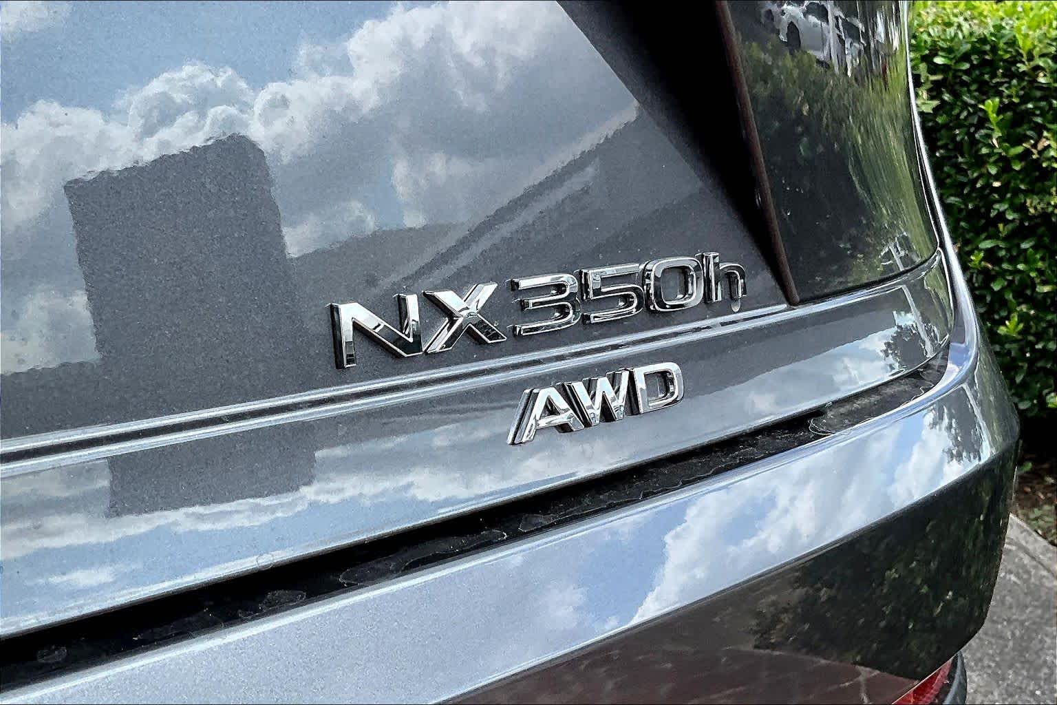 2026 Lexus NX Premium  - 6