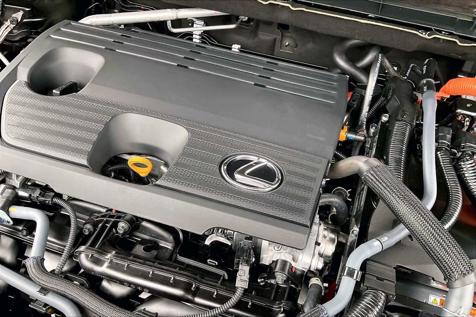 2026 Lexus NX 350h photo 19 of 21