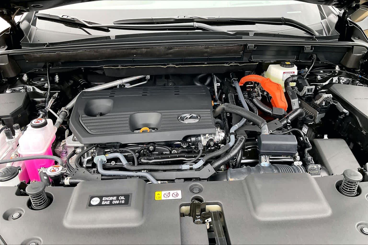 2026 Lexus NX 350h photo 18 of 21