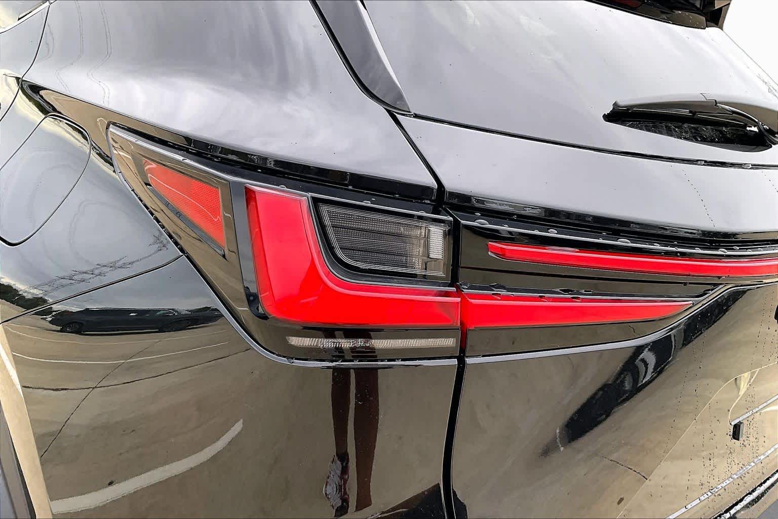 2026 Lexus NX 350h photo 6 of 21
