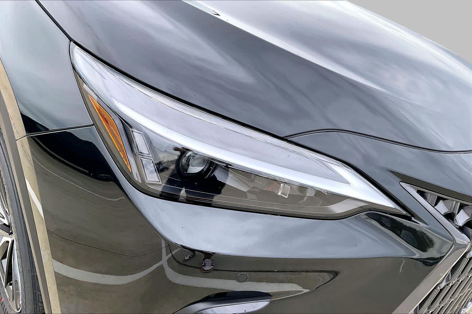 2026 Lexus NX 350h photo 20 of 21