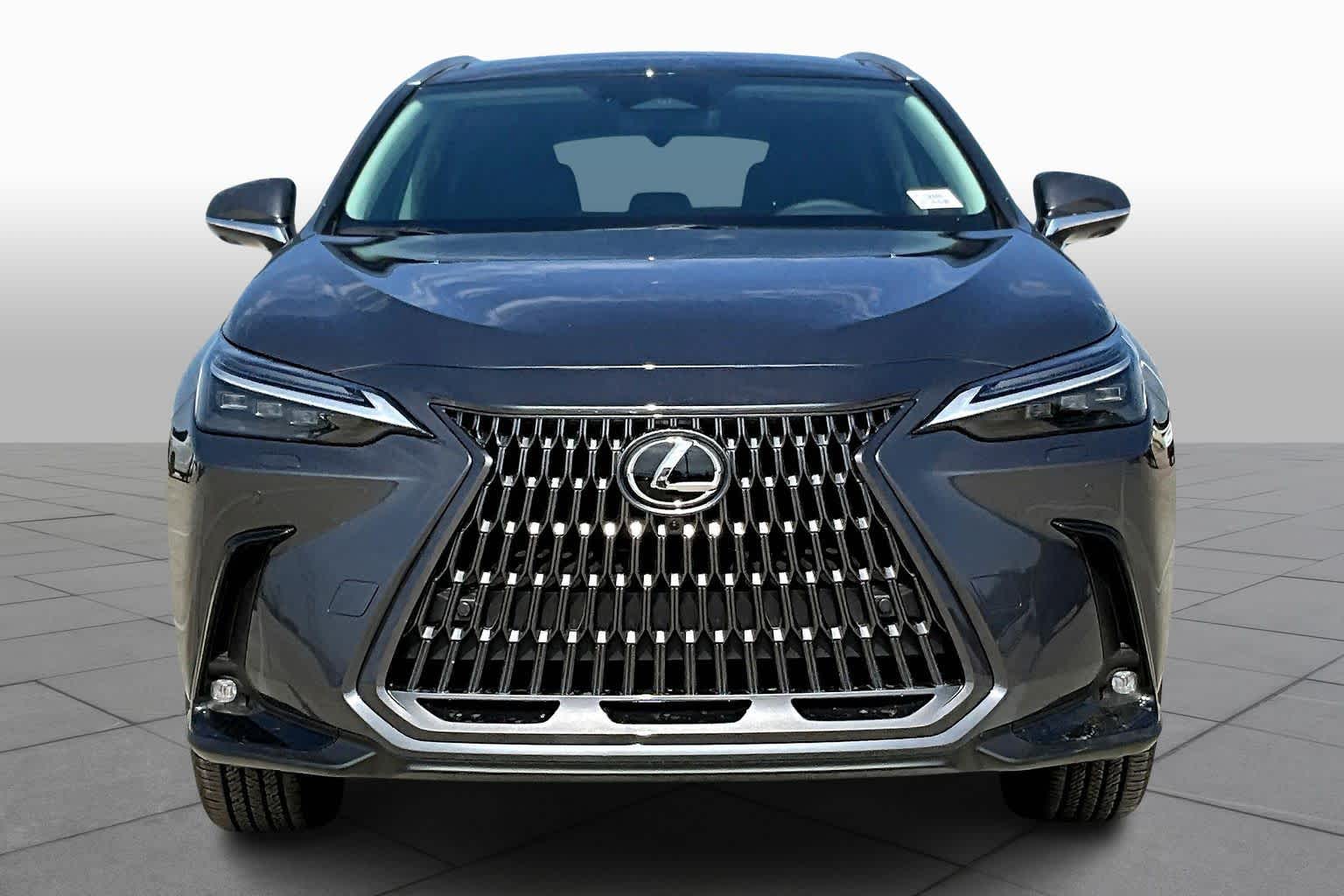 2026 Lexus NX Luxury  - 1