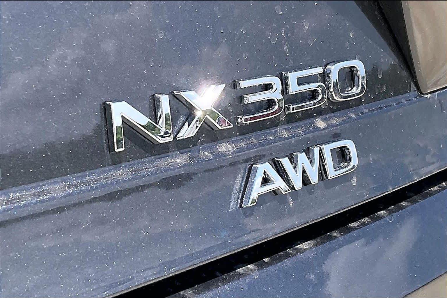 2026 Lexus NX 350 Luxury - 6