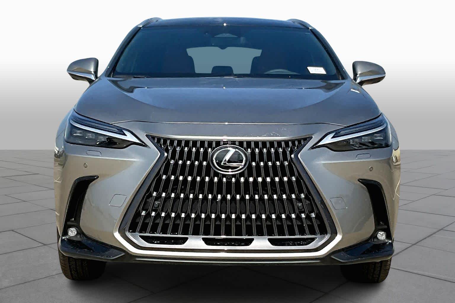 2026 Lexus NX Luxury  - 1