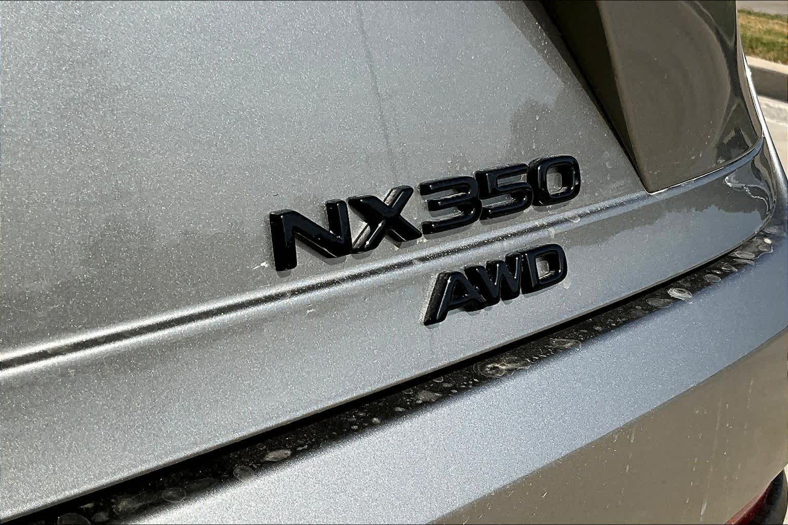 2026 Lexus NX Luxury  - 6