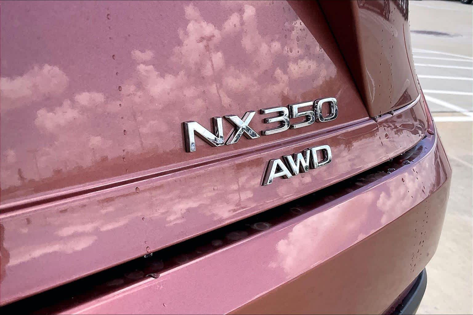 2026 Lexus NX 350 Luxury - 6
