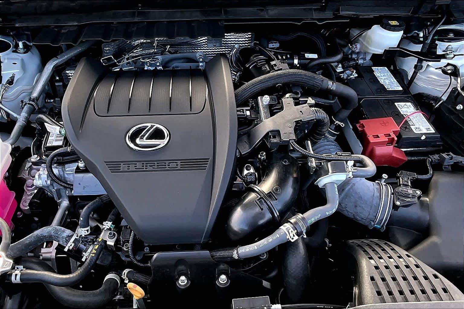 2025 Lexus NX Luxury  Eminent White Pearl at Lexus of Clear Lake