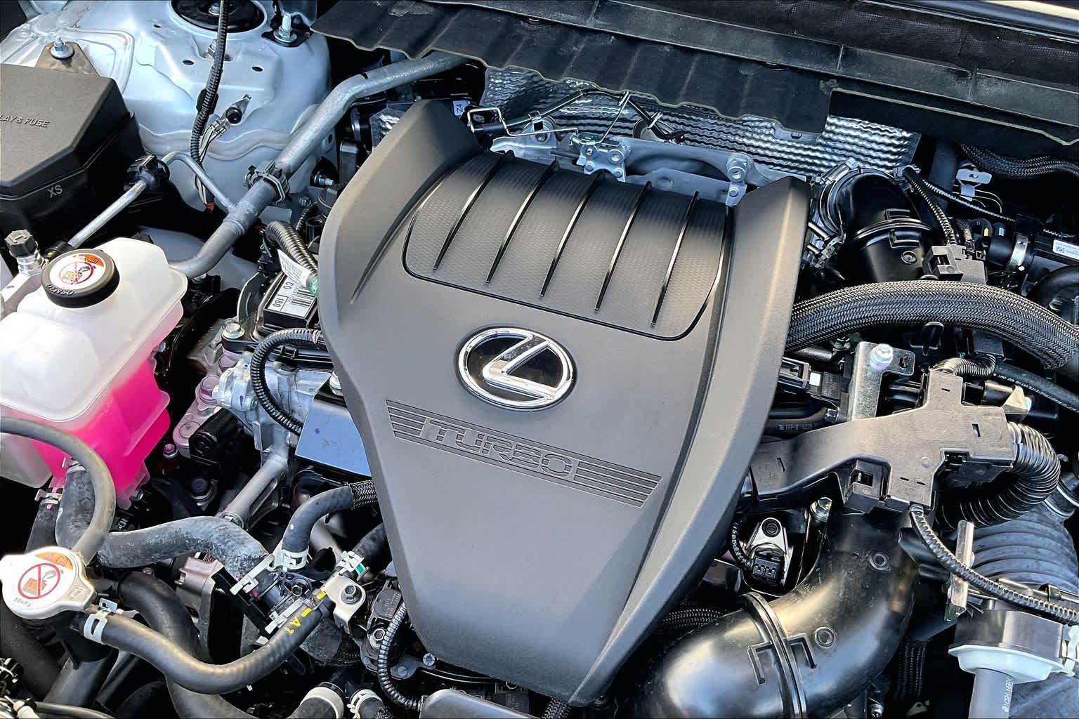 2025 Lexus NX Luxury  Eminent White Pearl at Lexus of Clear Lake