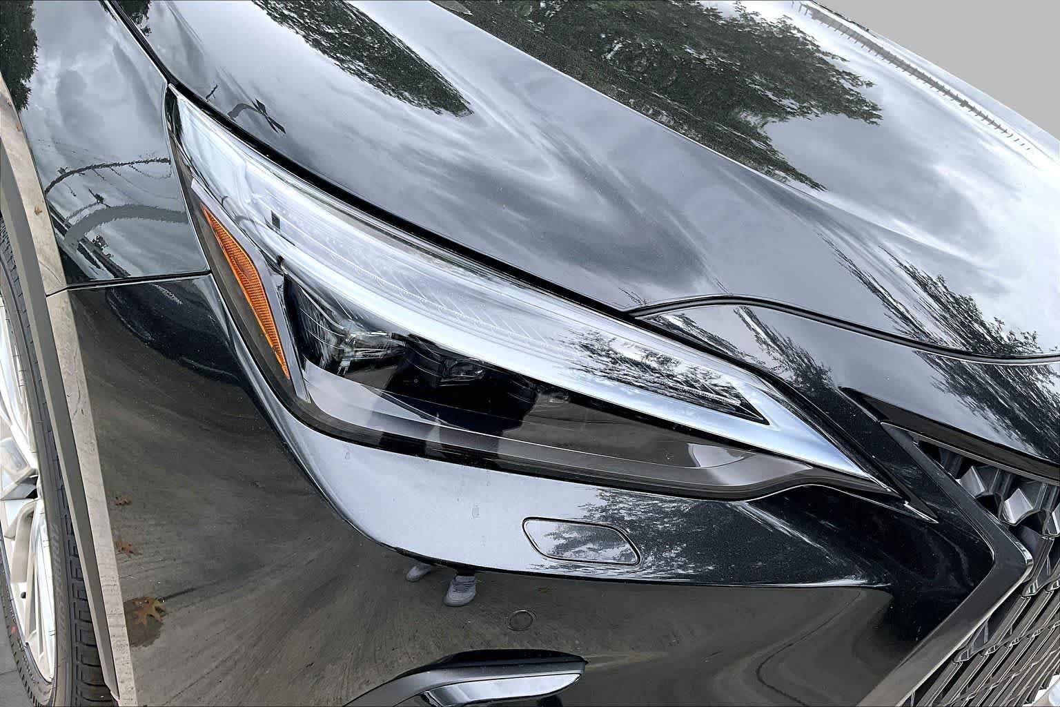 2026 Lexus NX 350 photo 19 of 21