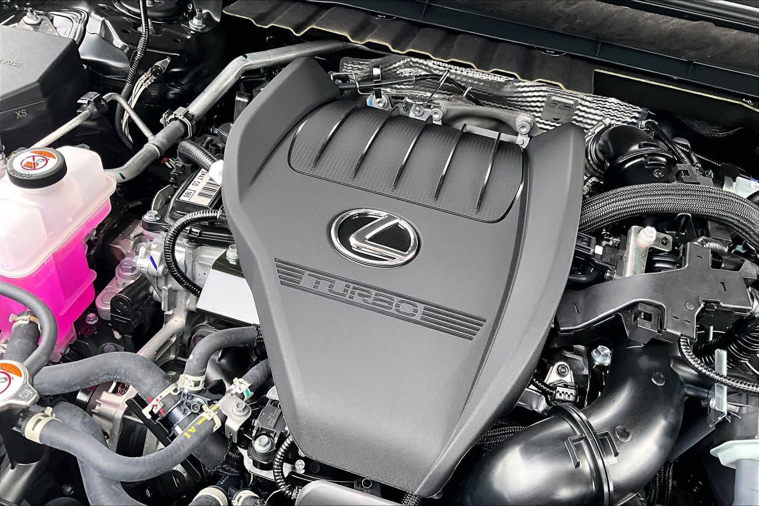 2026 Lexus NX 350 photo 18 of 21