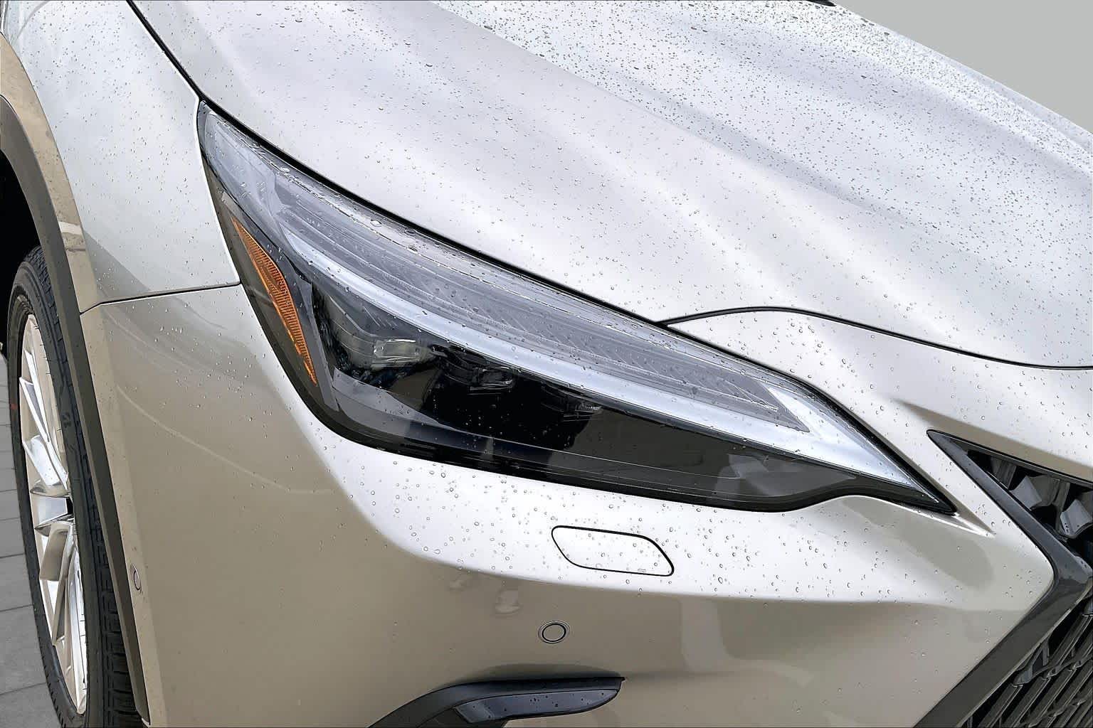 2026 Lexus NX 350h photo 20 of 21