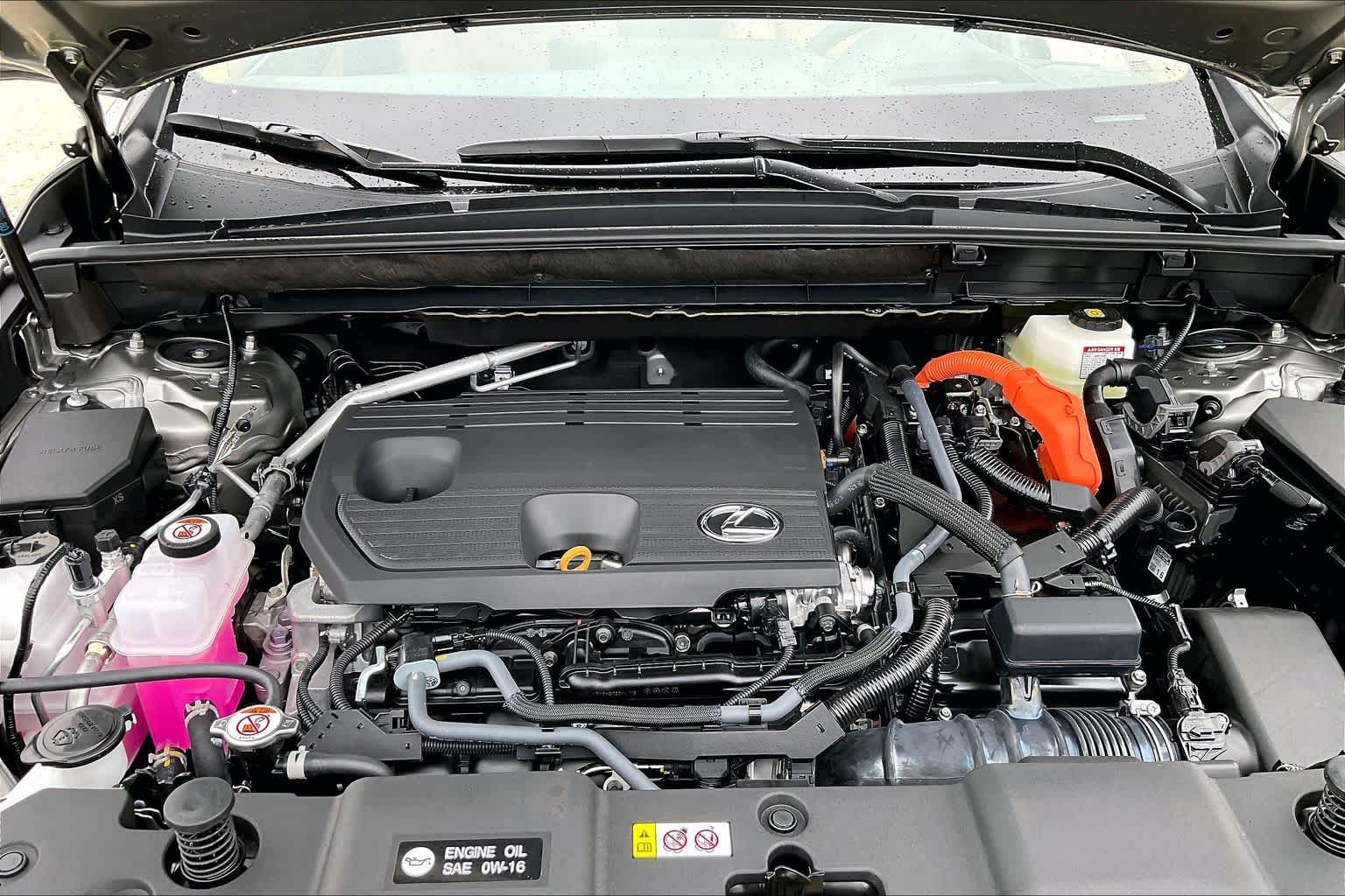 2026 Lexus NX 350h photo 18 of 21