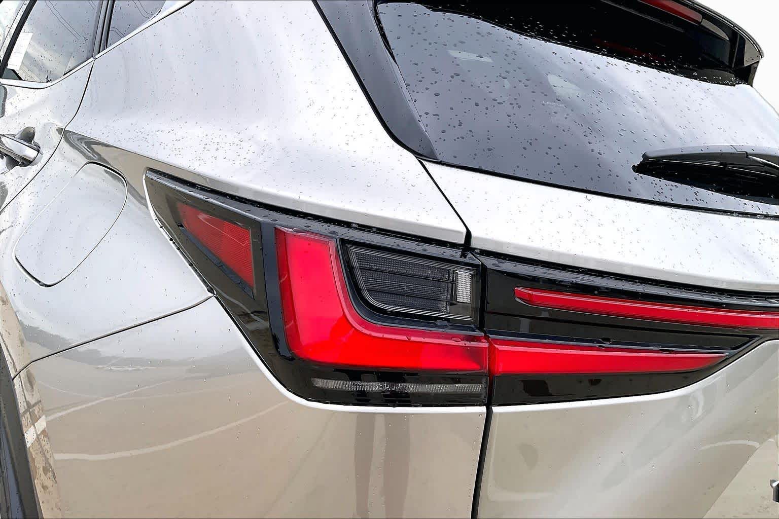 2026 Lexus NX 350h photo 6 of 21