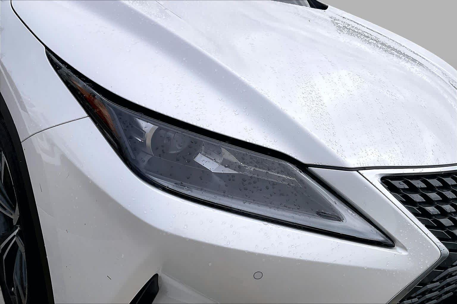 2022 Lexus RX 350 photo 24 of 33