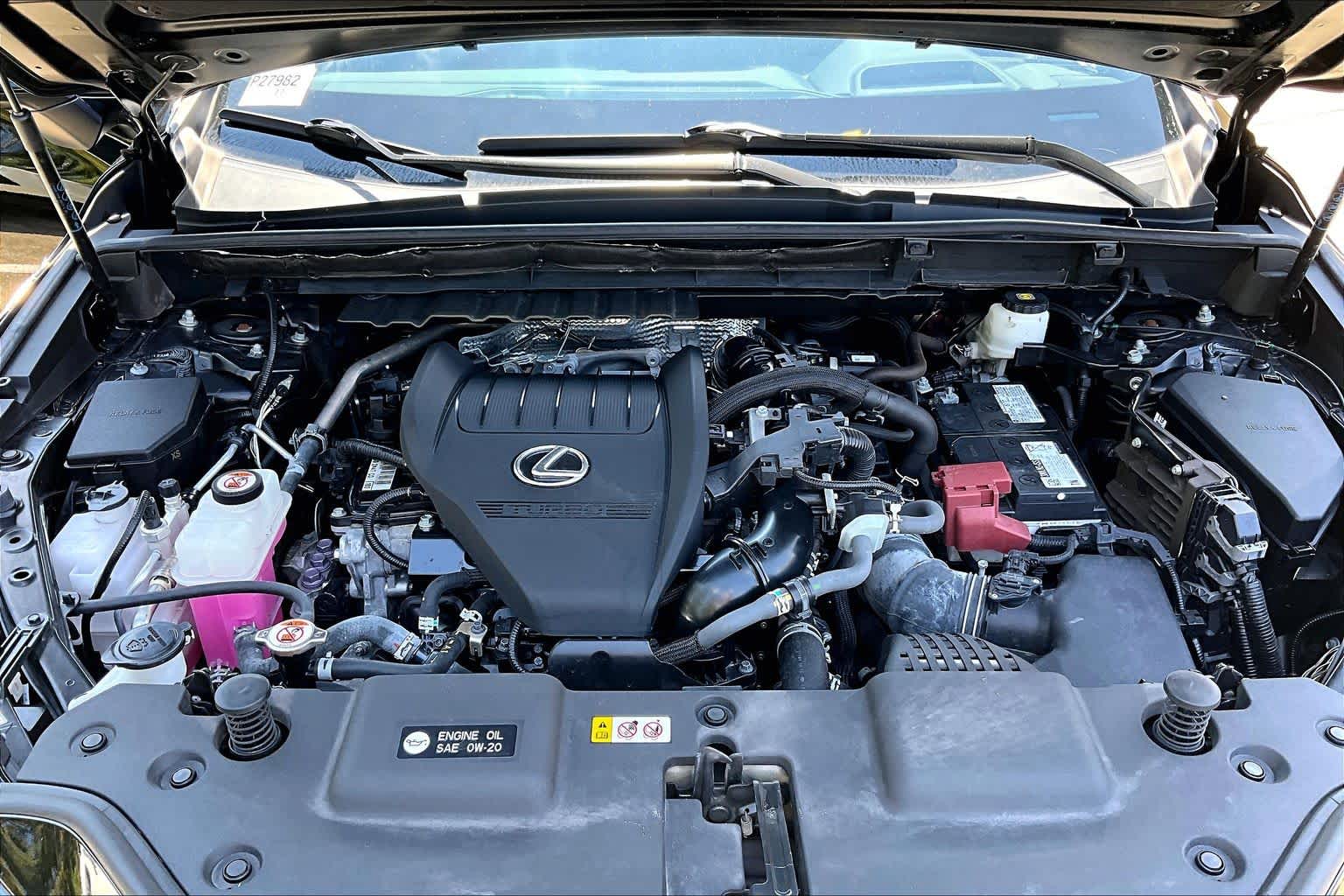 2024 Lexus NX 350 photo 29 of 34