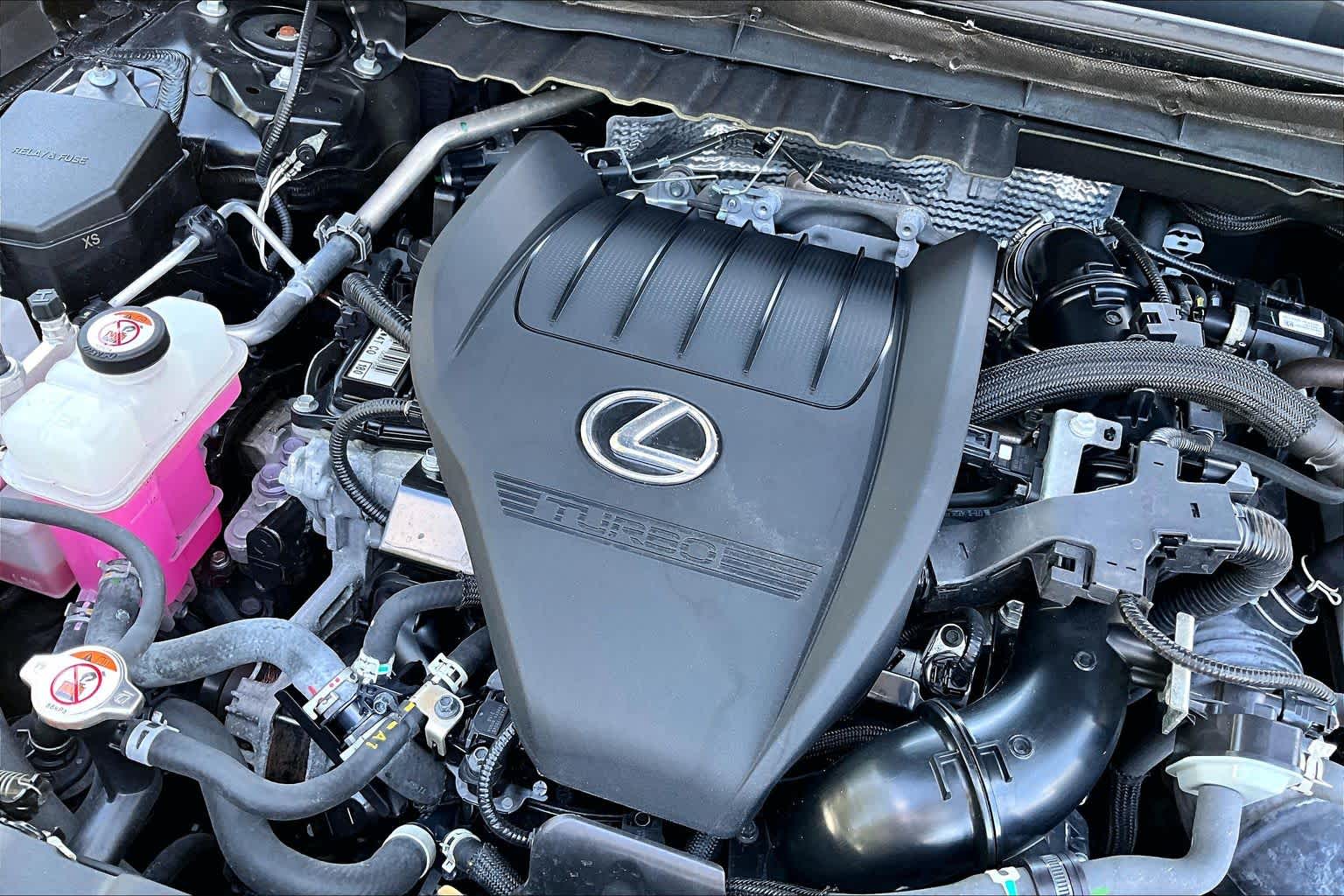 2024 Lexus NX 350 photo 30 of 34