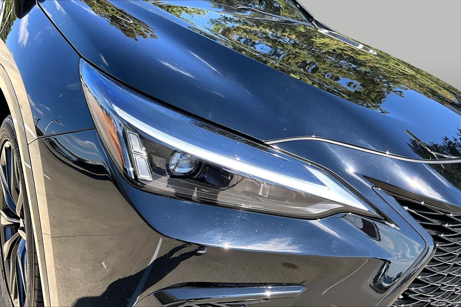 2024 Lexus NX 350 photo 26 of 34