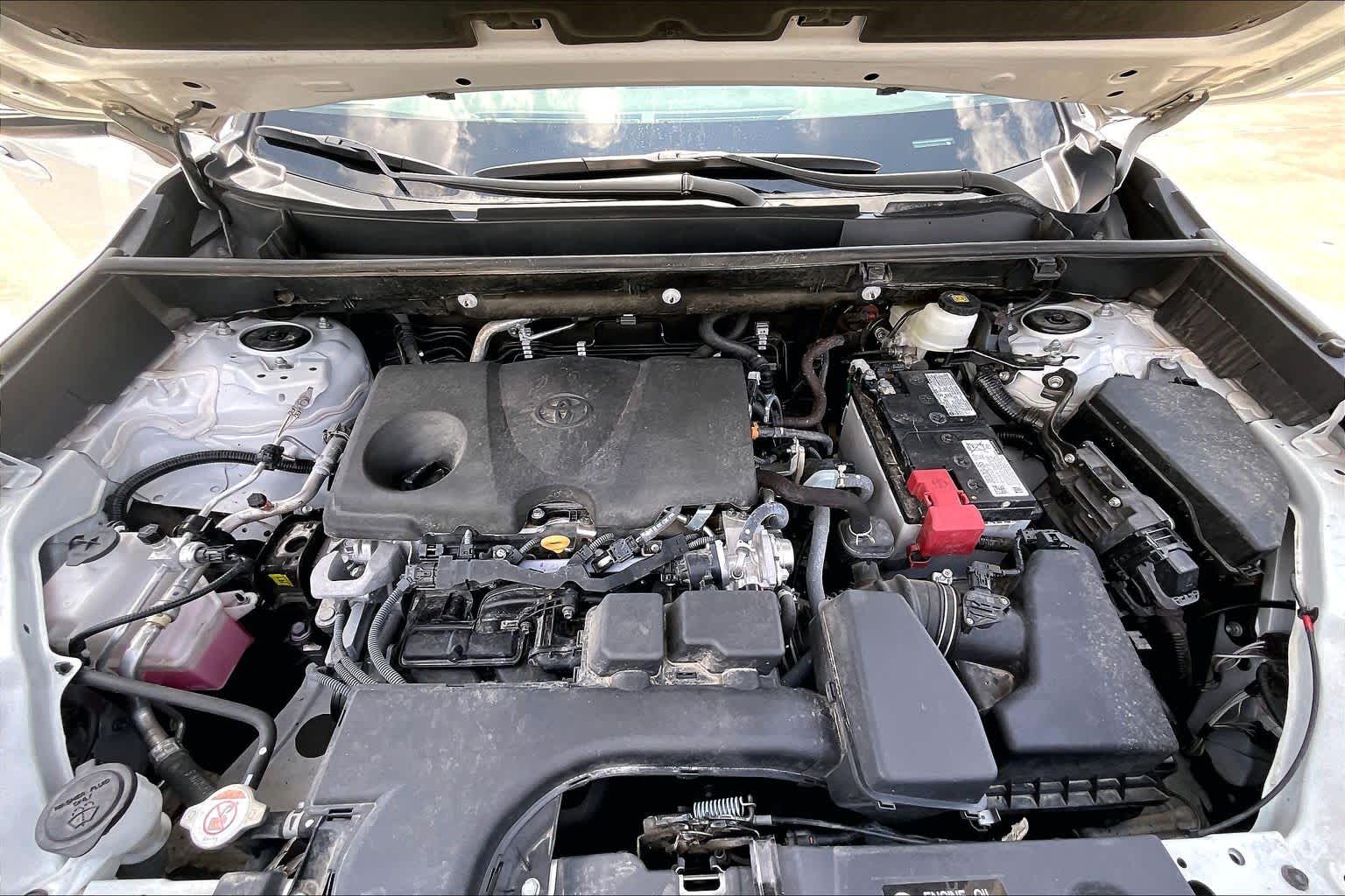 2024 Toyota RAV4 XLE Premium Wind Chill Pearl at Westside Kia