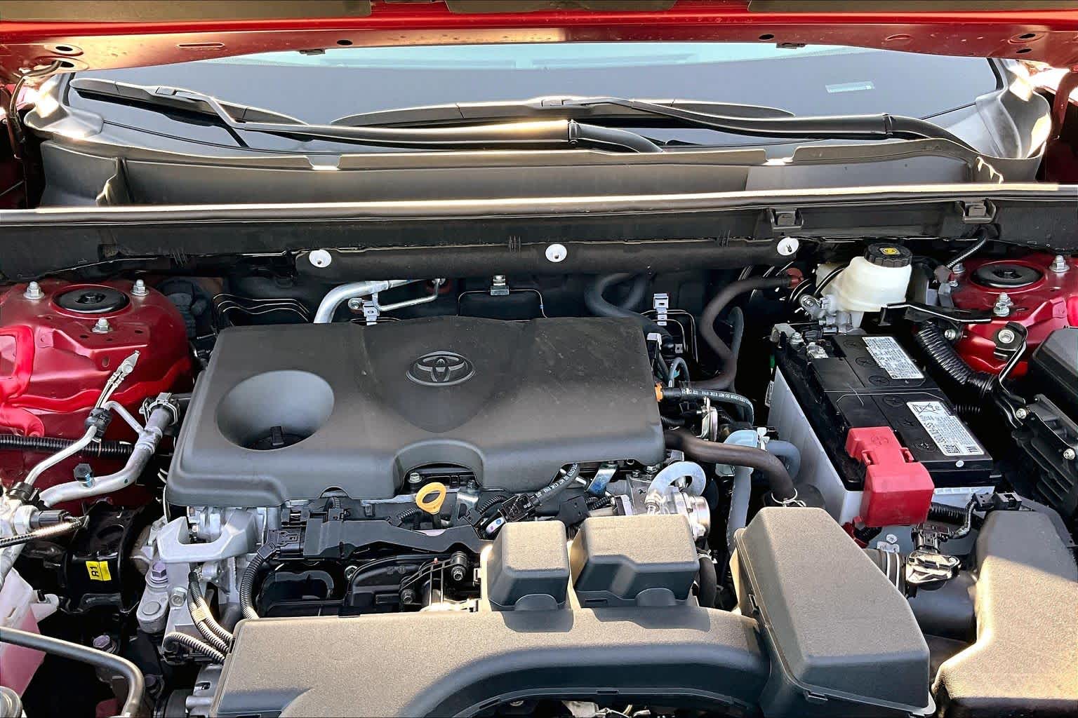 2024 Toyota RAV4 XLE Premium Ruby Flare Pearl at Group 1 Toyota Southwest