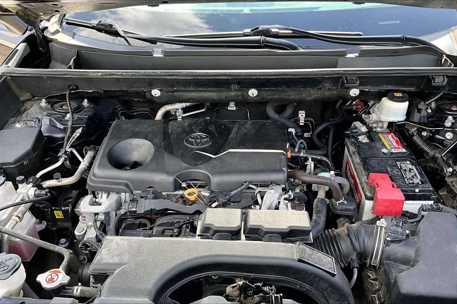 2020 Toyota RAV4 XLE Blueprint at Beck & Masten Kia