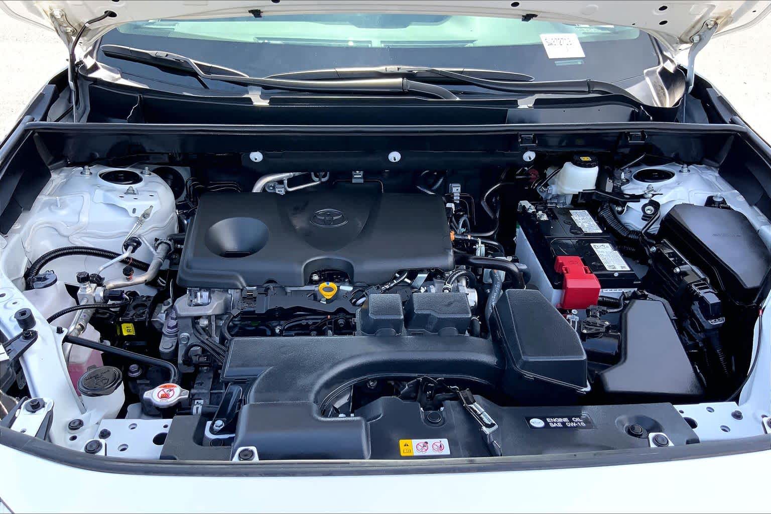 2025 Toyota RAV4 XLE Ice Cap at AutoNation USA Katy