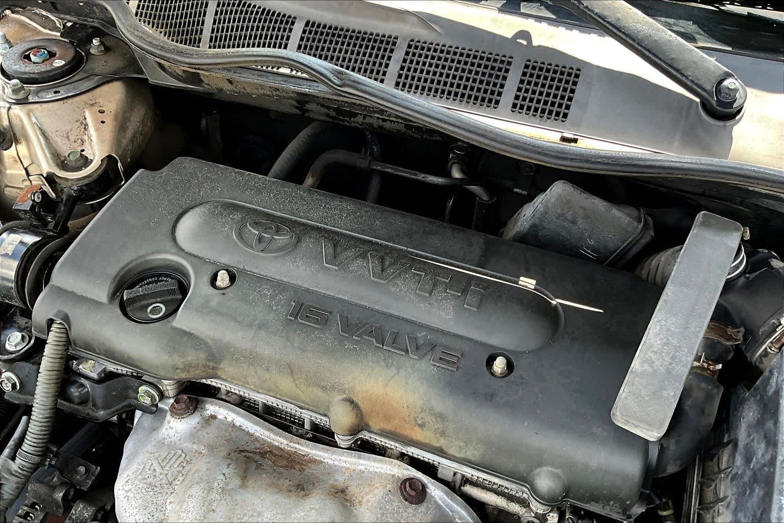 2009 Toyota Camry  Desert Sand Mica at Stokes Toyota Hilton Head