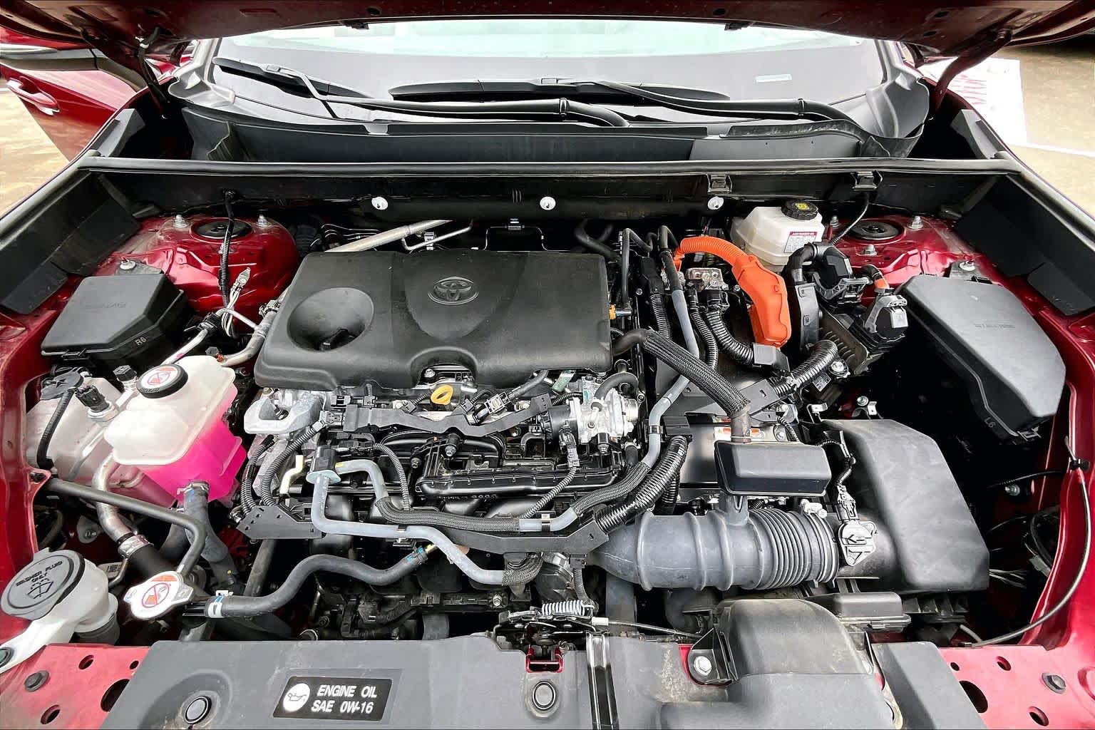 2024 Toyota RAV4 Hybrid XLE Premium Ruby Flare Pearl at Baytown Ford
