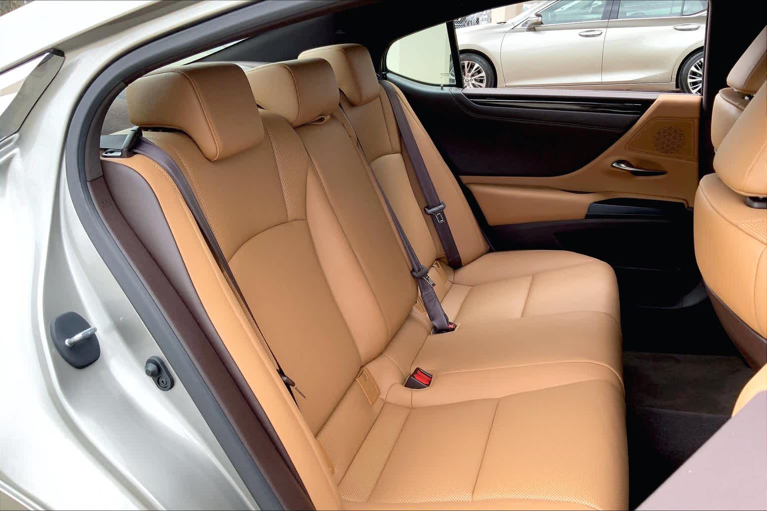 2020 Lexus ES  Atomic Silver at AutoNation USA Katy