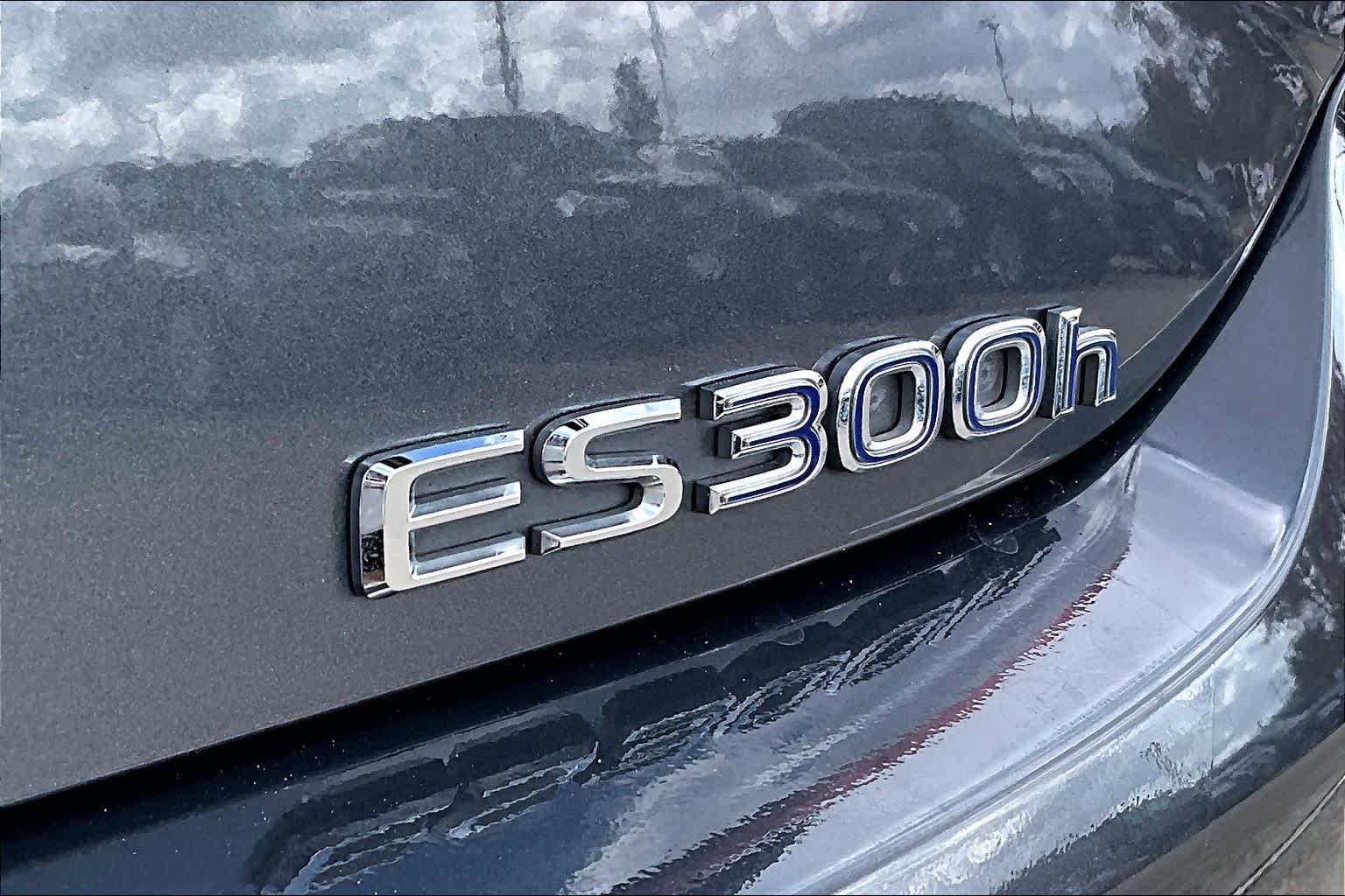 2022 Lexus ES F SPORT  Cloudburst Gray at Lexus of Clear Lake