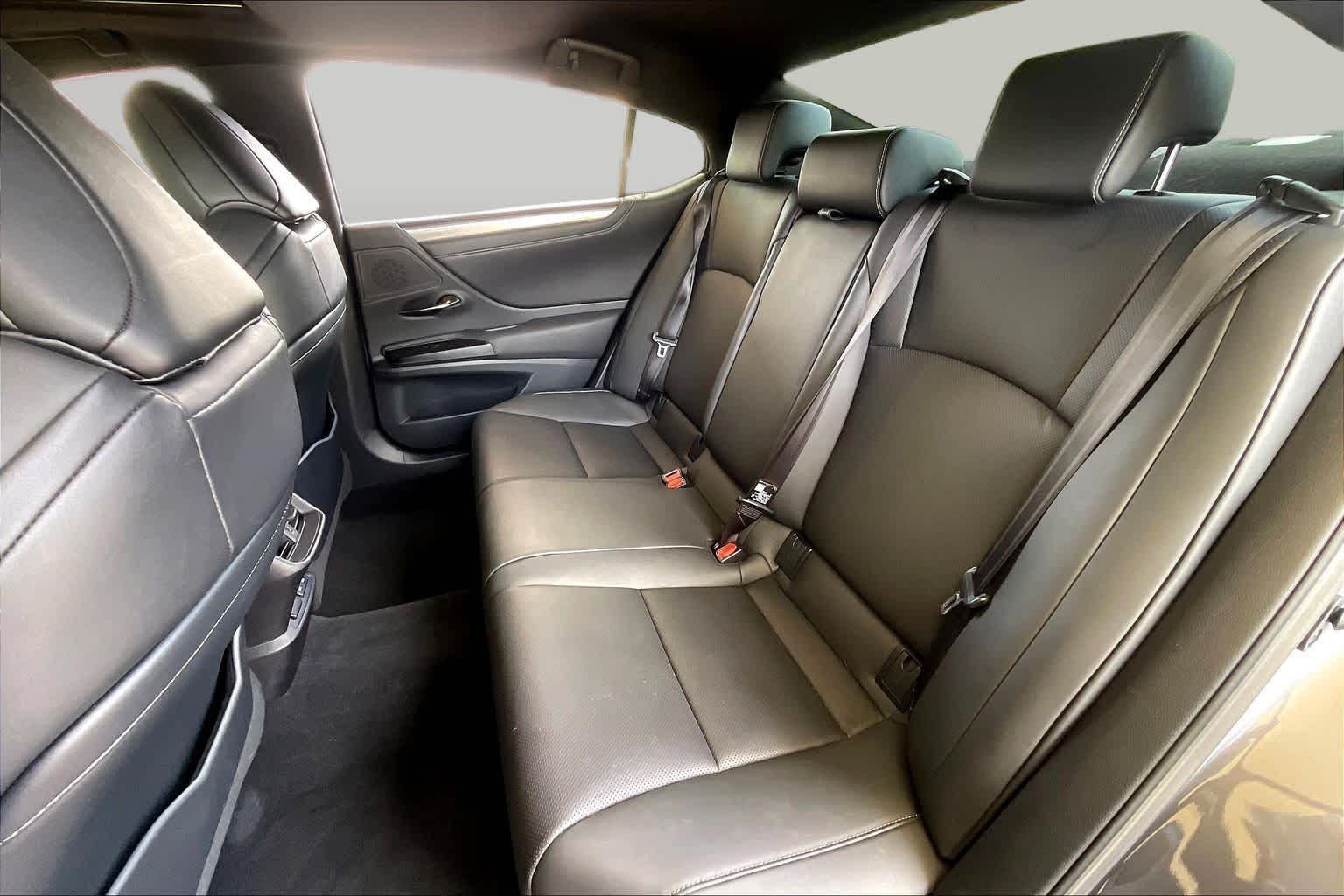2020 Lexus ES 350 F SPORT  Nebula Gray Pearl at Lexus of Clear Lake