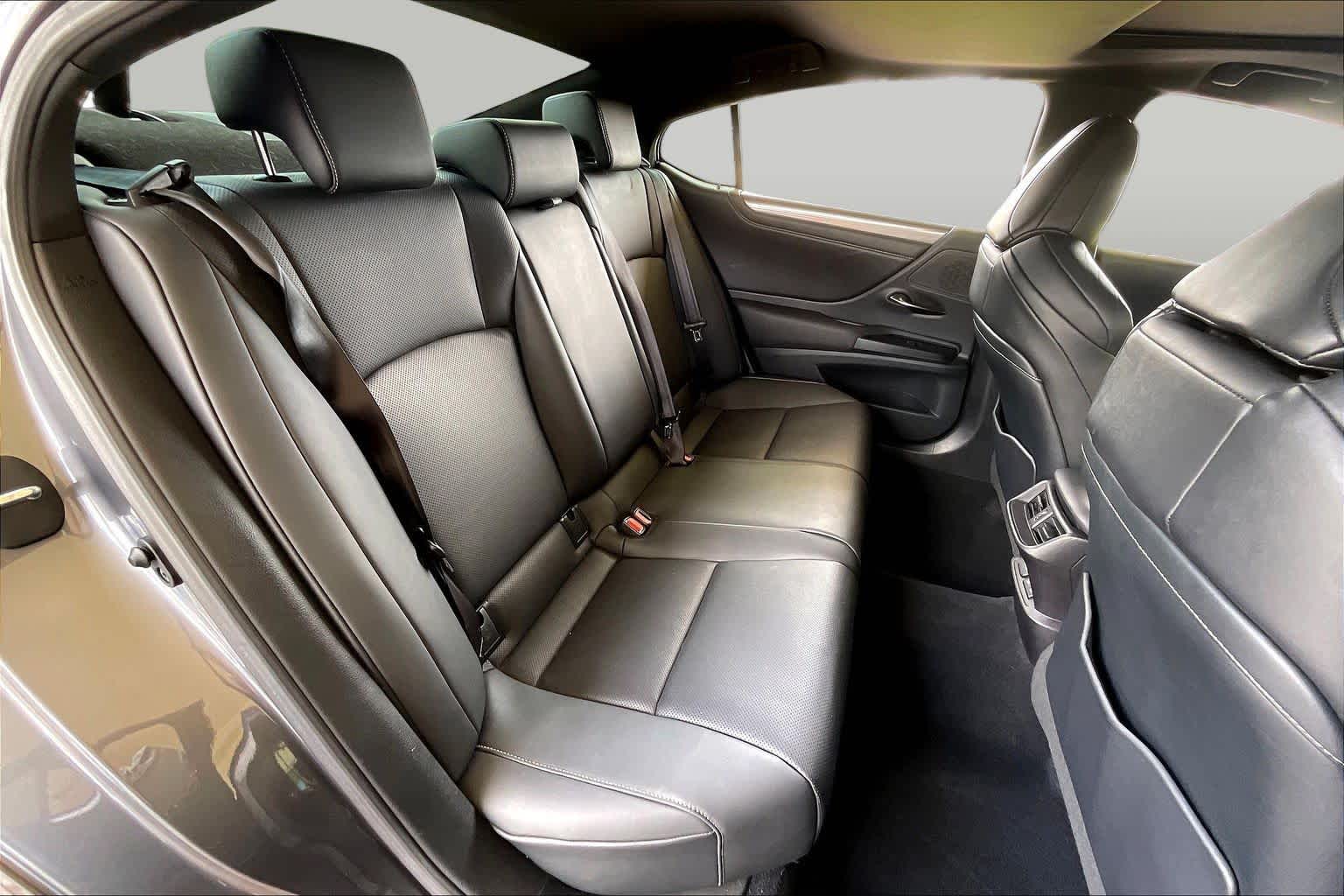 2020 Lexus ES 350 F SPORT  Nebula Gray Pearl at Lexus of Clear Lake