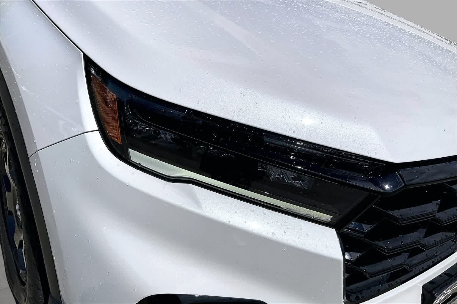 2025 Honda Pilot TrailSport Platinum White Pearl at Honda of Clear Lake
