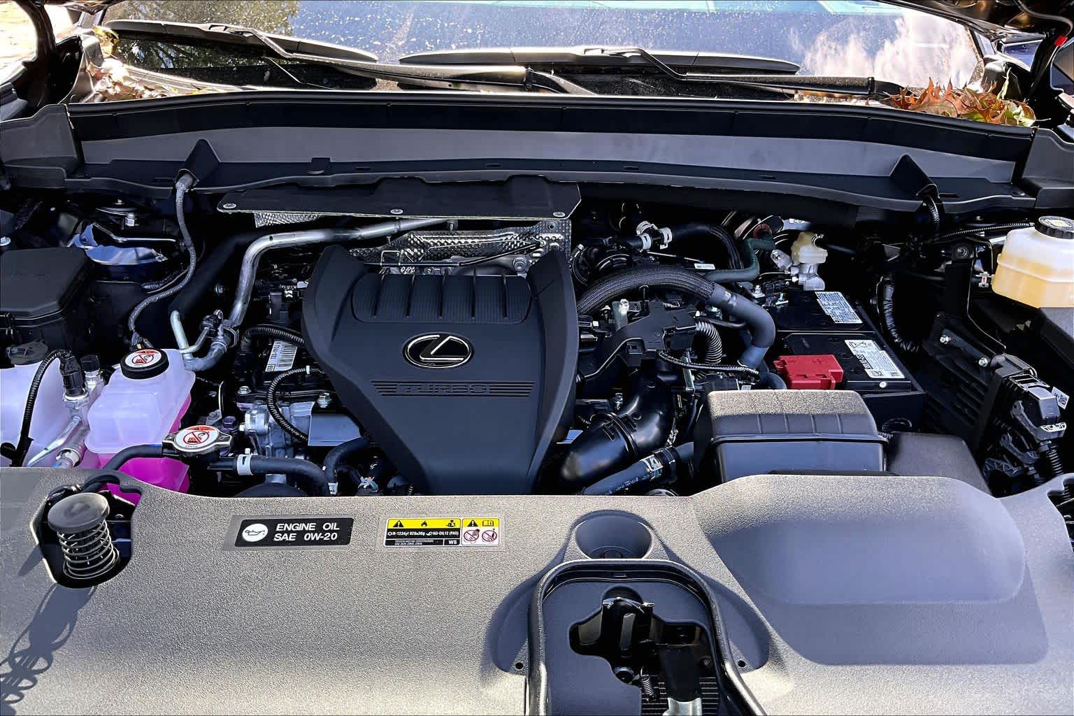 2026 Lexus TX 350 photo 18 of 21